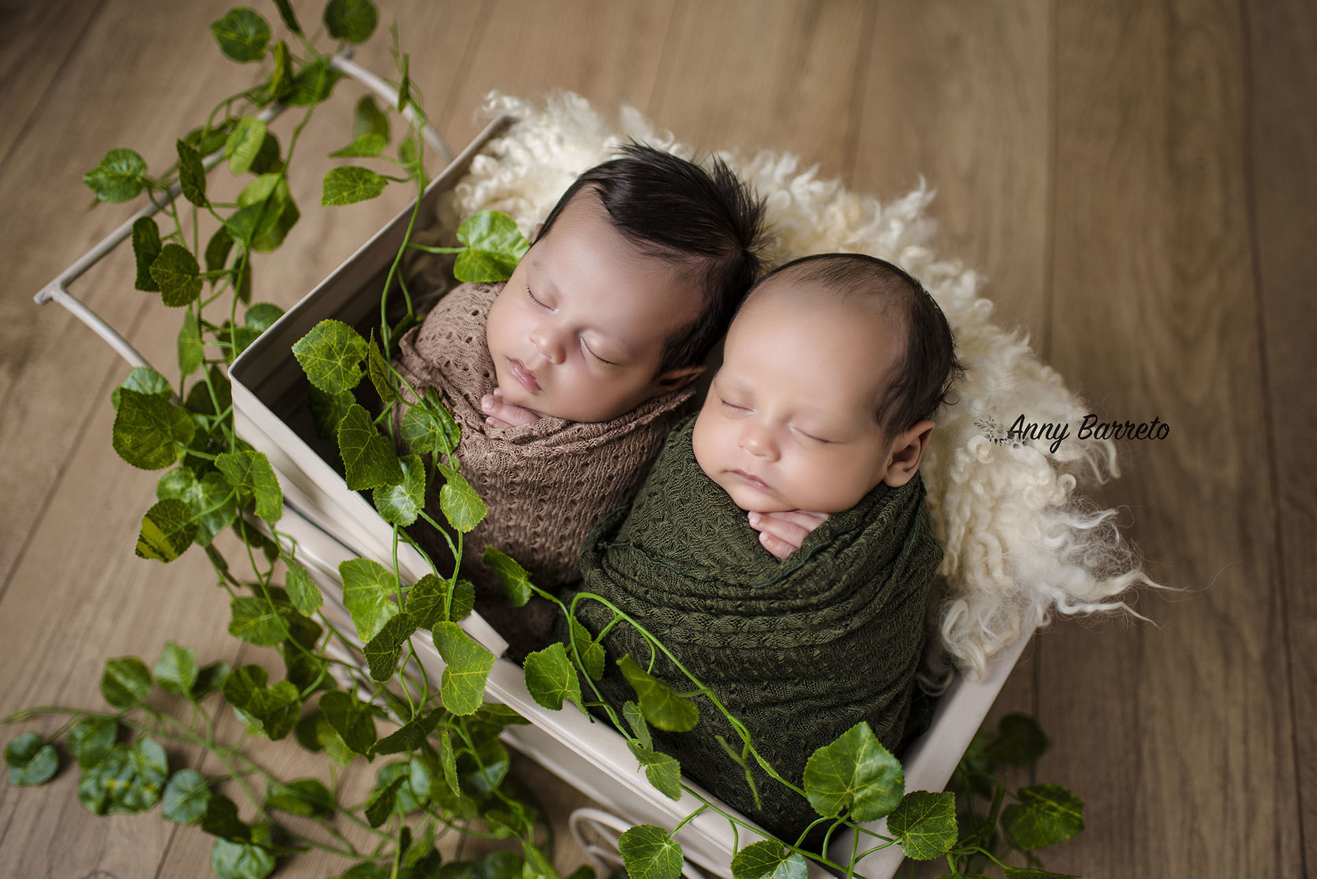 Foto Vitor e Rafael | Newborn - Imagem 16