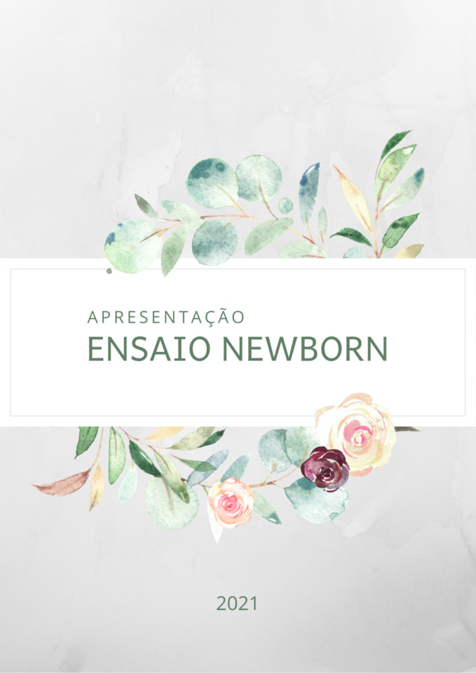 Orçamento Newborn