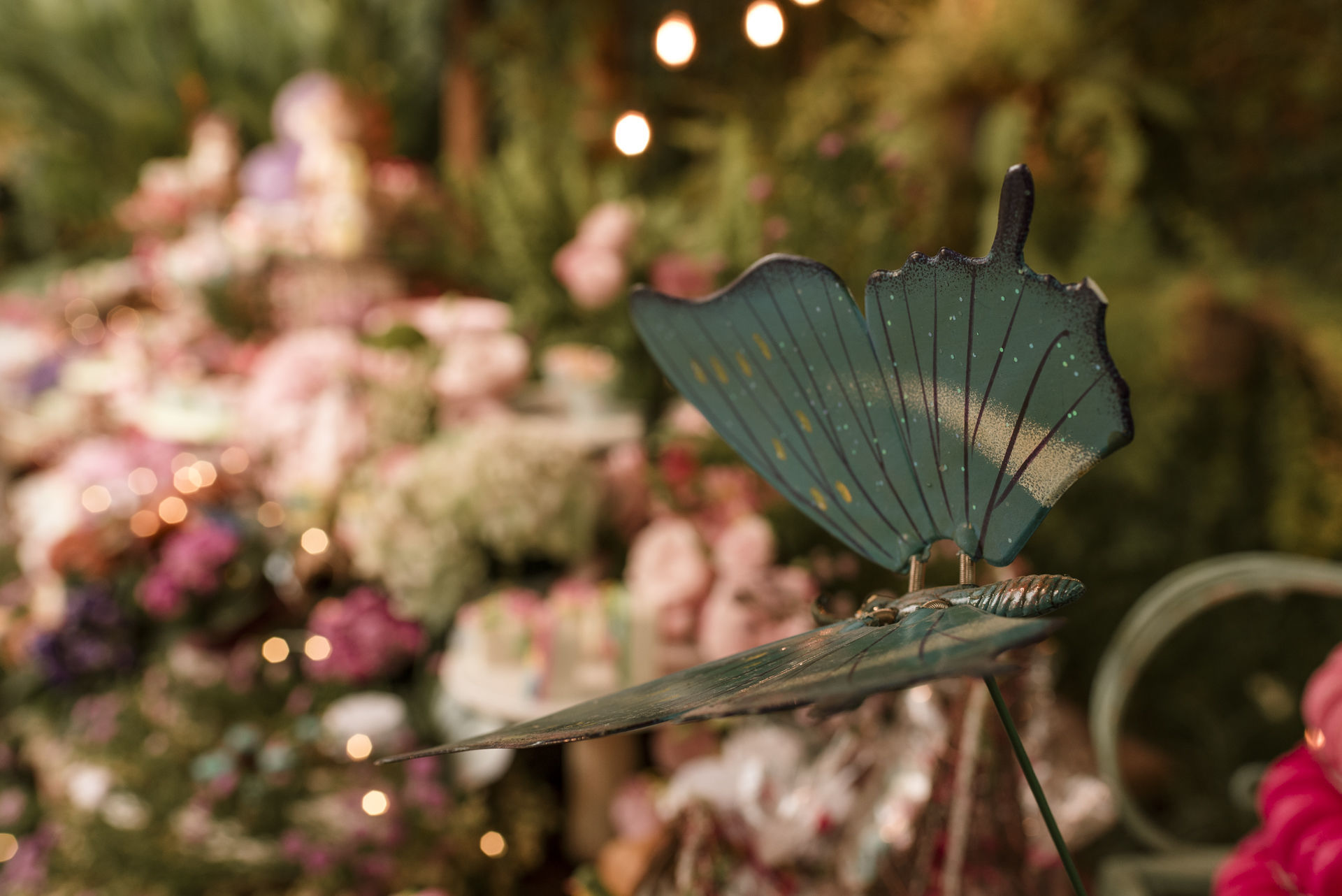 Foto Liz | Festa de 1 ano - Imagem 5