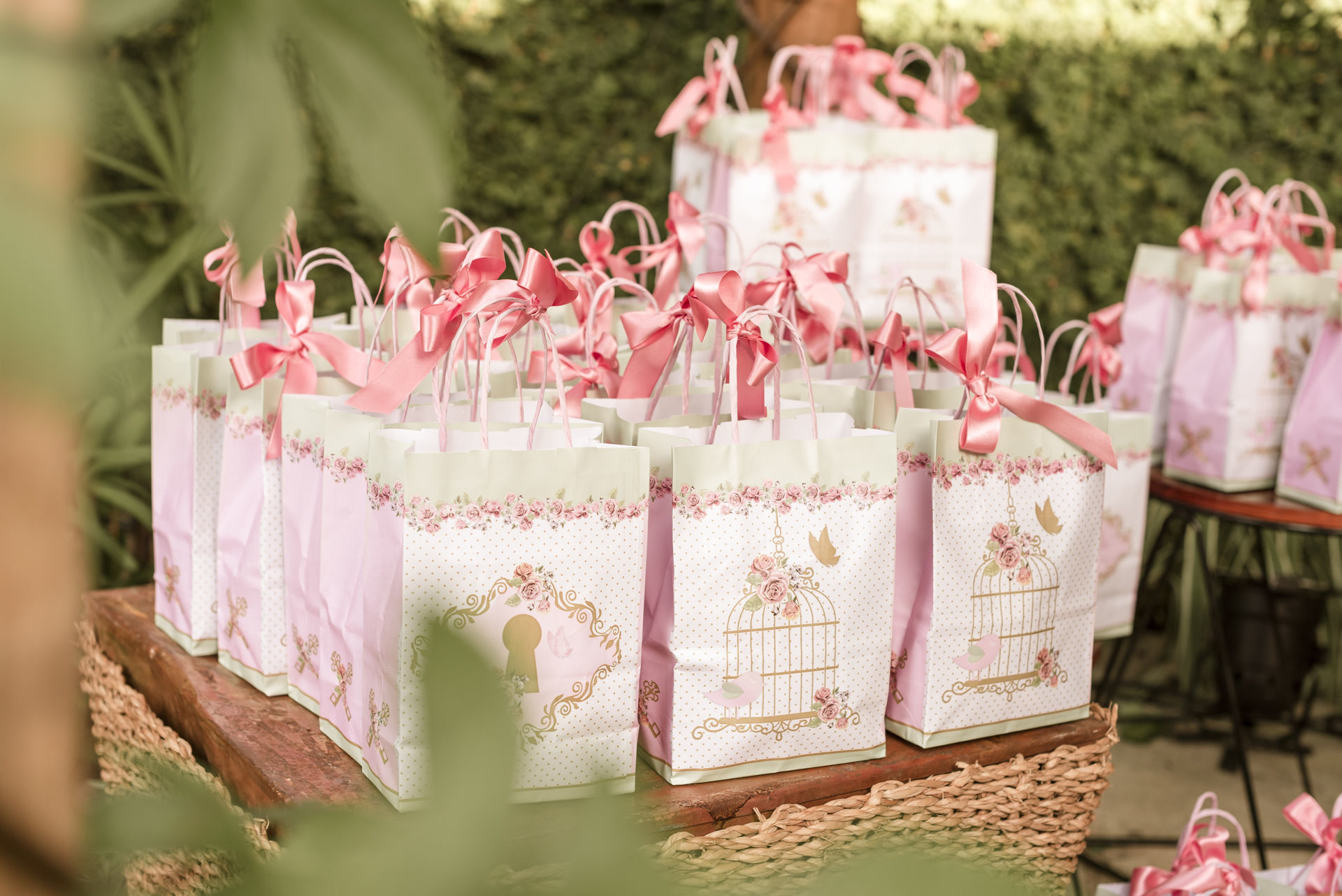 Foto Liz | Festa de 1 ano - Imagem 3