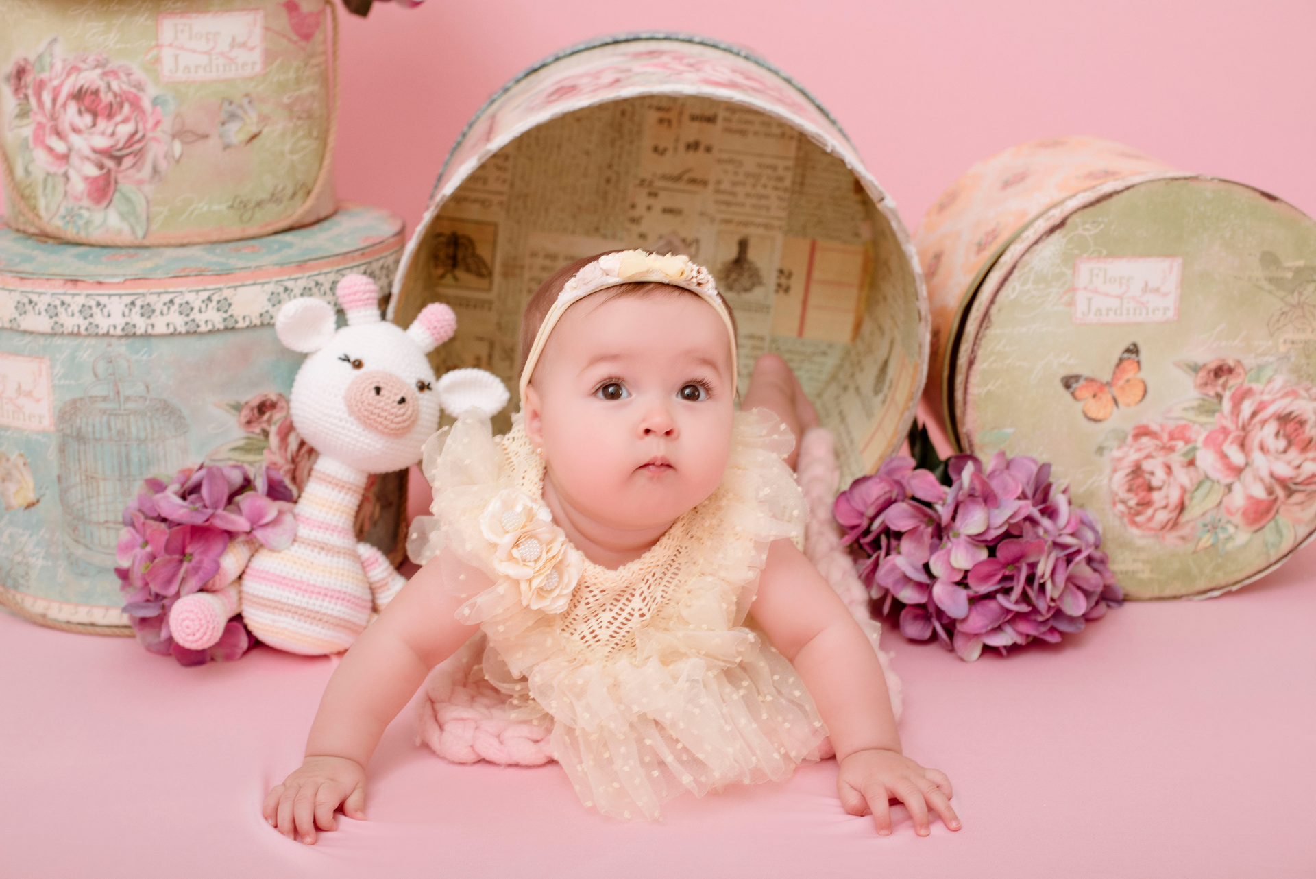 Foto Clara Raulino | 6 Meses - Imagem 5