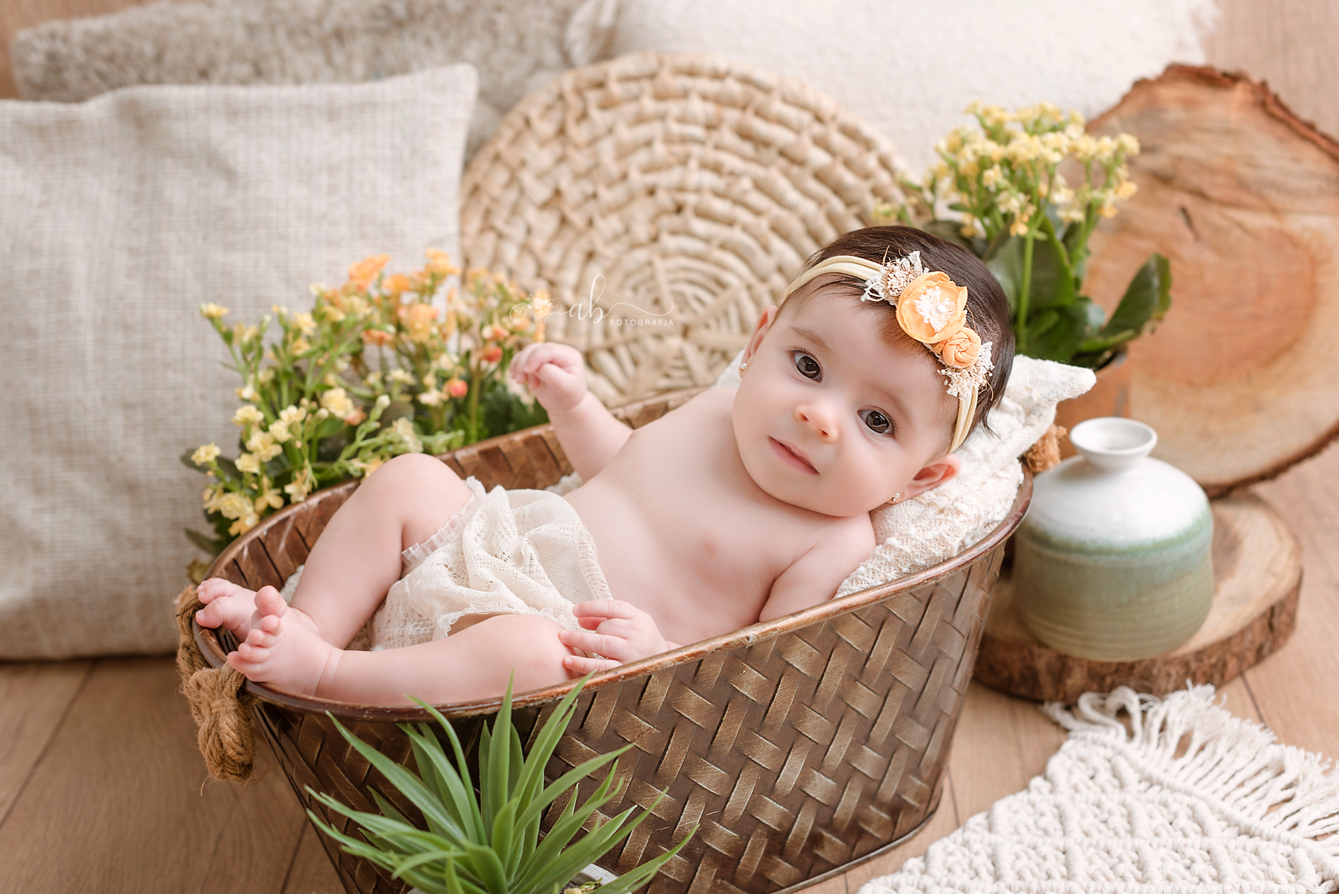 Foto Júlia Solano | 2 Meses - Imagem 4