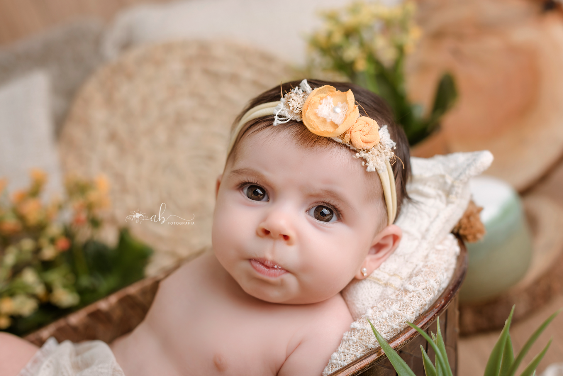 Foto Júlia Solano | 2 Meses - Imagem 5