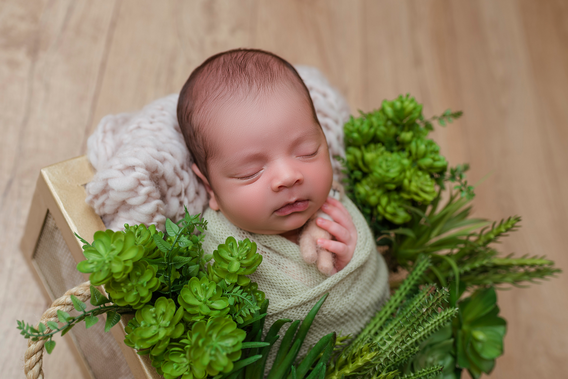 Foto Luiz Fernando | Newborn - Imagem 6